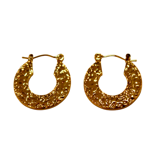 Golden Noise Hoops